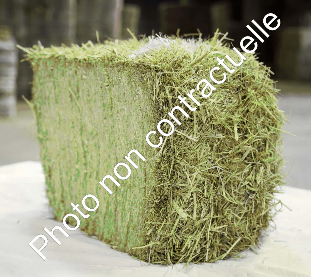 Foin de Crau - 1ère Coupe - Douliere Hay France