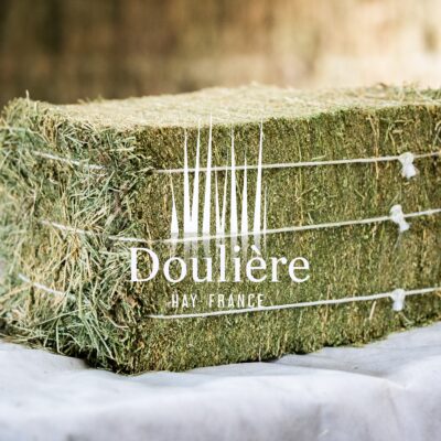 Balle compressé de luzerne