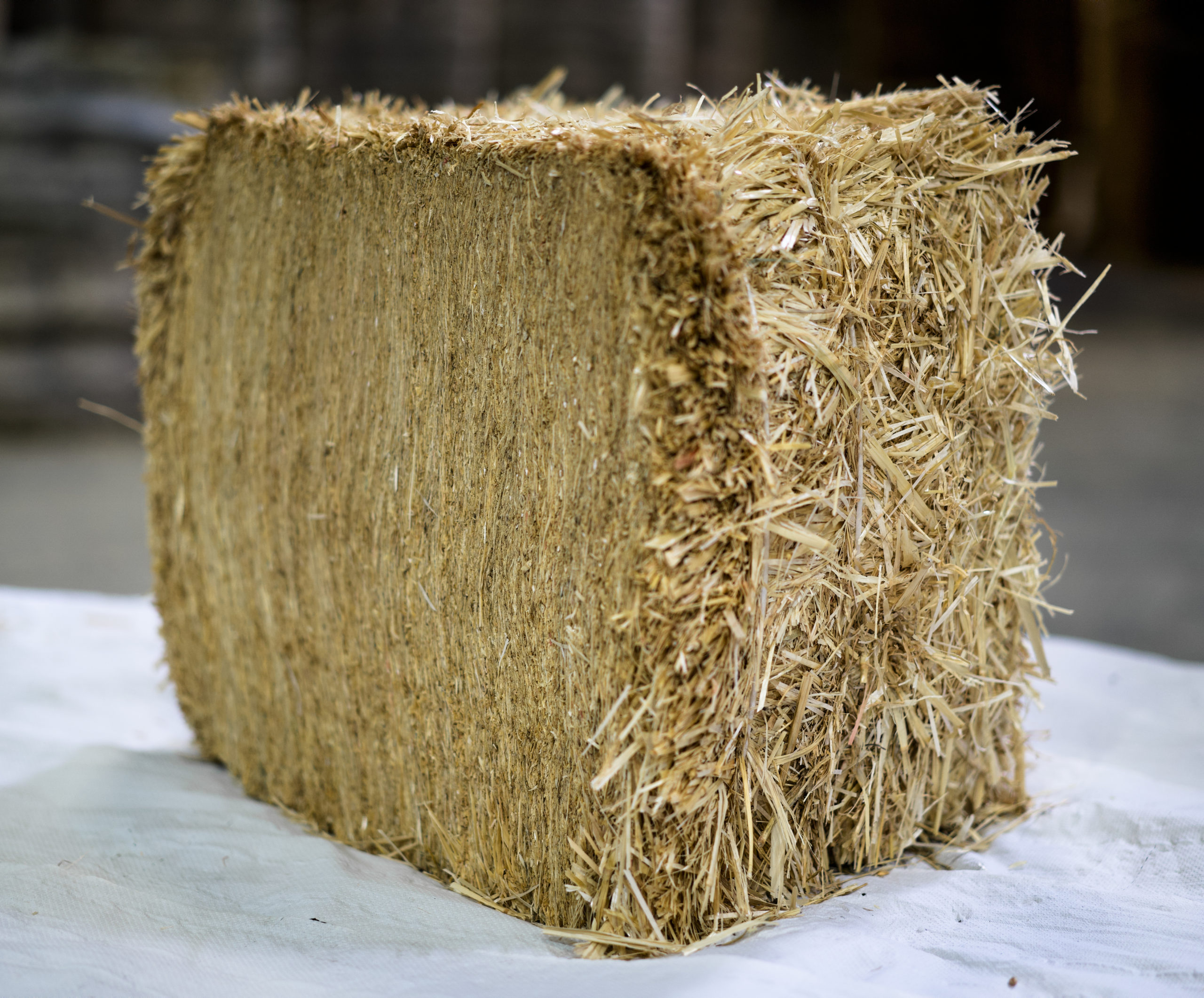 Wheat Straw - Cattle, sheep and goat fodder - Douliere Hay France