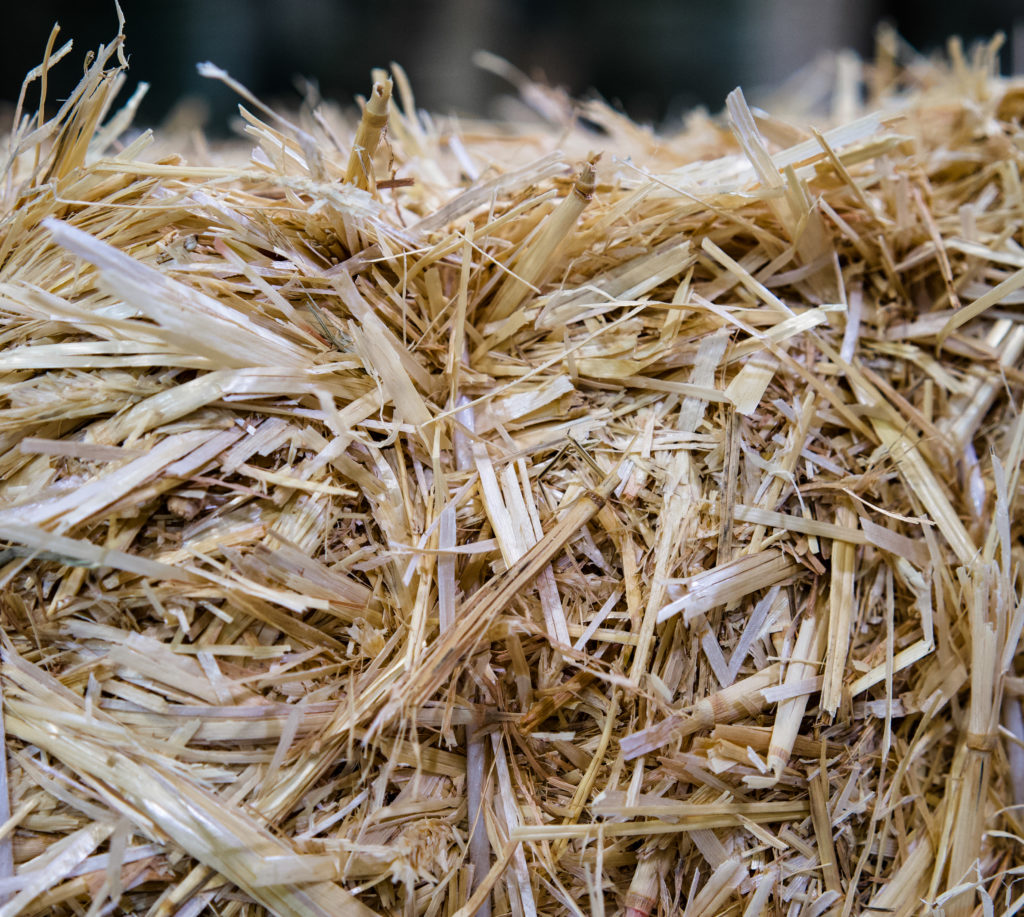Paille de Blé Fourrage bovins, ovins et caprins Douliere Hay France