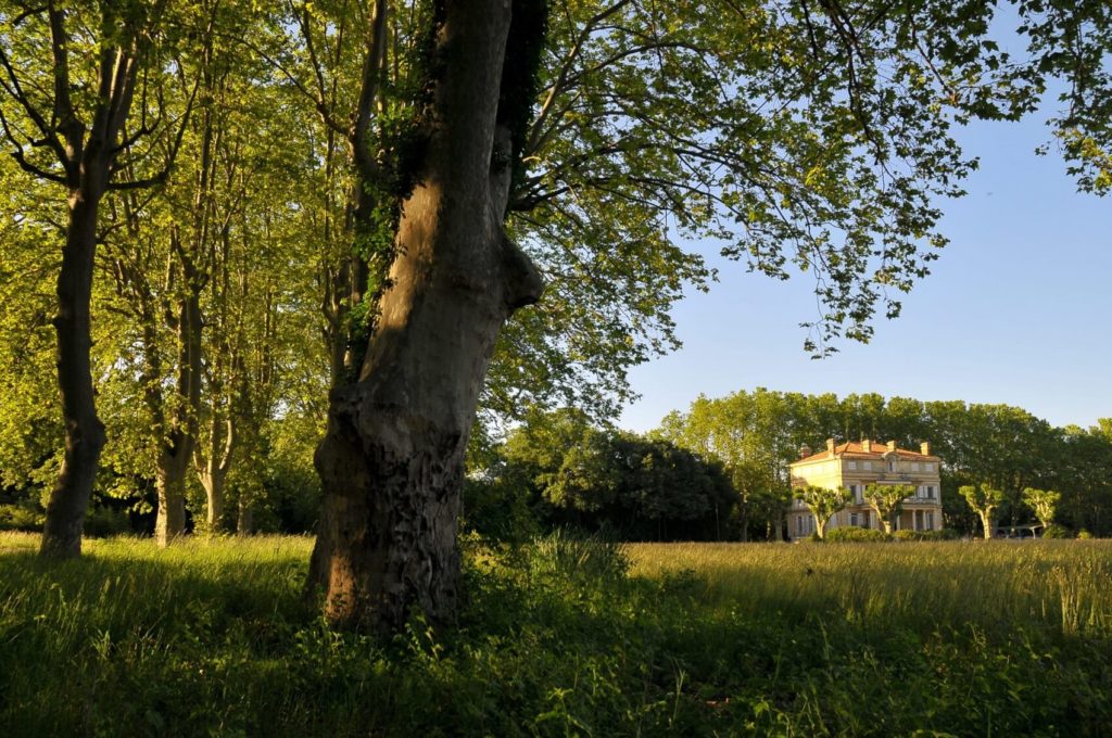 Foin de Crau 3ème coupe pour les moutons et les chèvres - Douliere Hay  France