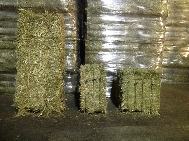 Compressed And Classic Haystack Format Douliere Hay France